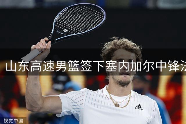 山东高速男篮签下塞内加尔中锋法耶 新赛季补强内线