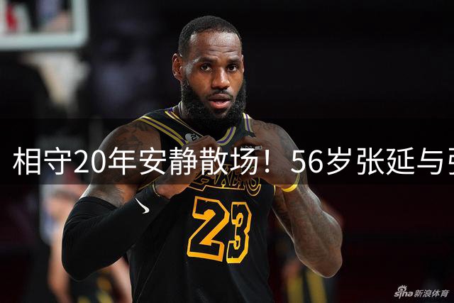 相守20年安静散场！56岁张延与张锦程低调离婚，离婚原因让人唏嘘