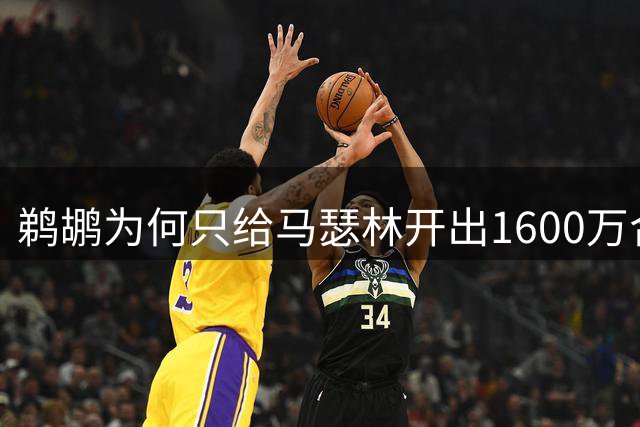 鹈鹕为何只给马瑟林开出1600万合同？经纪人判断失误是主因